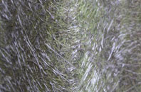 Whitemire fibreglass roof work